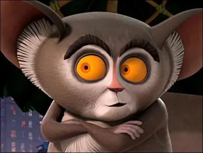 Quel est le nom de ce aye-aye ?