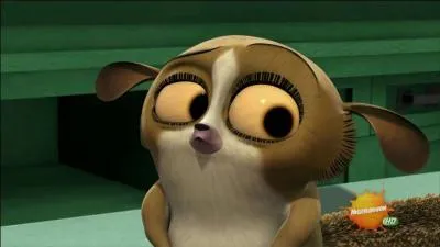 Trouvez le nom de ce mignon petit lémurien.