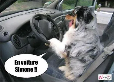 On y va ! Que peut-on dire ?