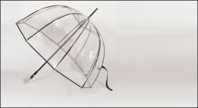 Comment s'appelle ce parapluie ?
