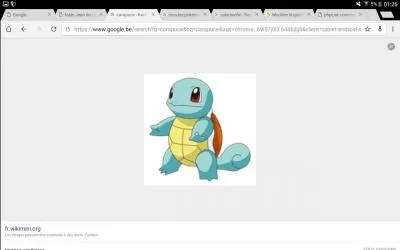 Quel est ce Pokémon ?