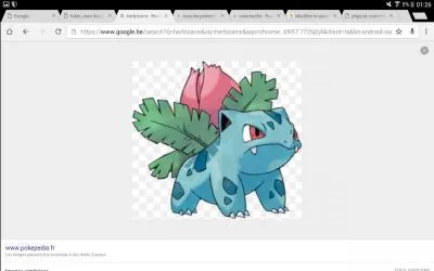 Quel est ce Pokémon ?