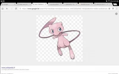 Quel est ce Pokémon ?