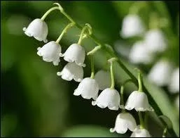 1er mai : On commémore ce jour le début d'un mouvement ouvrier qui réclamait une durée de travail journalière de 8 heures. Il eut lieu en 1886, ----------------.