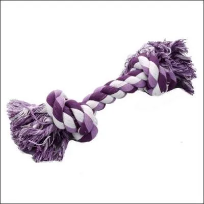 Selon cette étude québécoise, les chats et les chiens préfèrent tous les deux le même menu arrivant en 6e position, c'est...