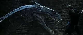 Comment Harry tue-t-il le Basilic ?