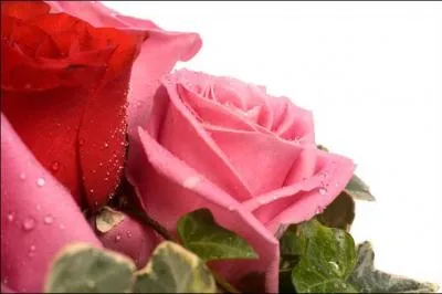 Elle tombe en mai, les enfants ont aussi du boulot pour faire plaisir. Quelle est cette fête ?