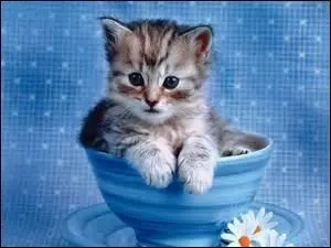 Comment s'appelle la femme aux cheveux rouges ?