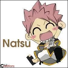 Dans "Fairy Tail" et "One Piece", quels personnages se ressemblent ?