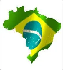 Quel art martial du Brésil mêle la danse et la lutte ?