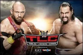 (Match simple) Qui gagne ce combat de titans entre Ryback et Rusev ?