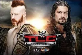 (WWE World Heavyweight Championship) Qui est le perdant du TLC Match entre Sheamus et Roman Reigns ?