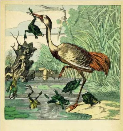 Trouvez le nom de cette fable :