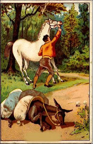 Quel est le nom de celle-ci ?