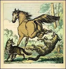 Quel est le titre de cette fable ?
