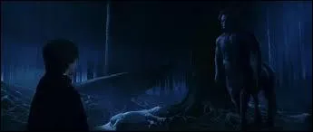 Avec qui Harry est-il lorsqu'il découvre la licorne morte et Voldemort ?