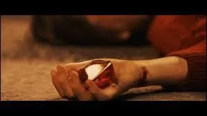 Où Harry trouve-t-il la Pierre philosophale ?