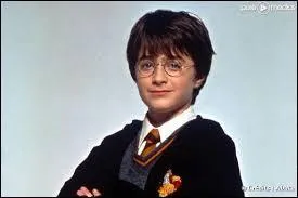 Combien d'années passent entre la mort des Potter et le réveil d'Harry le jour de l'anniversaire de son cousin ?