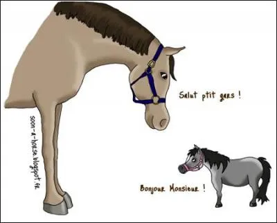 Lequel de ces poneys est le plus petit ?