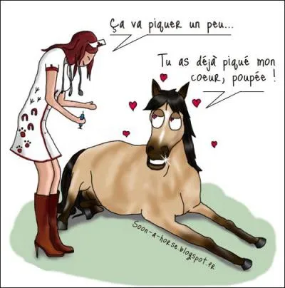 Laquelle de ces maladies n'est pas une maladie équine ?