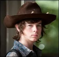 De quelle série télévisée Carl Grimes est-il un des personnages principaux ?