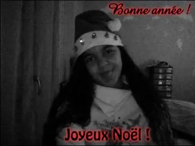 Voilà, ce quiz est fini. Bonnes fêtes à ... !