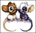 Combien faut-il payer de .... pour créer une tribu ?