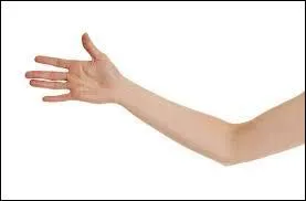 Comment dites-vous "un bras" en anglais ?