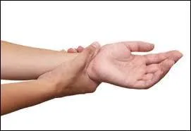 Que signifie "the wrist" en français ?