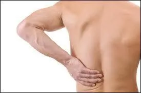 Que signifie "the back" en français ?