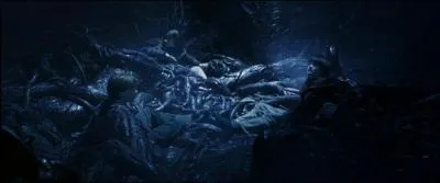 Quel est le point faible du Filet du Diable ?