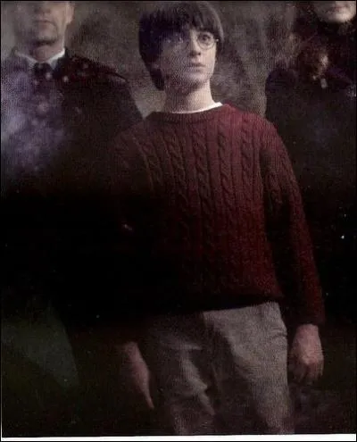 Que voit Harry dans le Miroir du Riséd lorsqu'il se trouve avec Quirrell ?