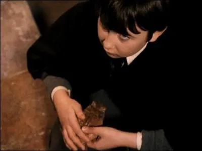 Comment s'appelle le crapaud de Neville ?