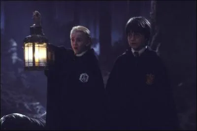 Pourquoi Harry, Ron, Hermione et Drago sont-ils punis dans la Forêt interdite ?