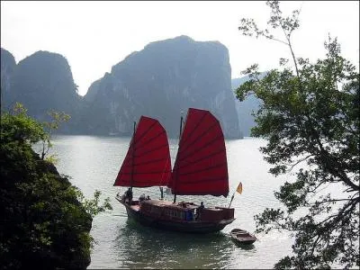 Pendant ce temps-là, le long de la baie d'Halong navigue un(e) --- (Complétez ! )