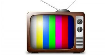 Sur quelle chaîne ont-il débuté avec "La Folle Histoire du Palmashow" ?