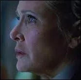 Quel est le nouveau statut de la Princesse ?