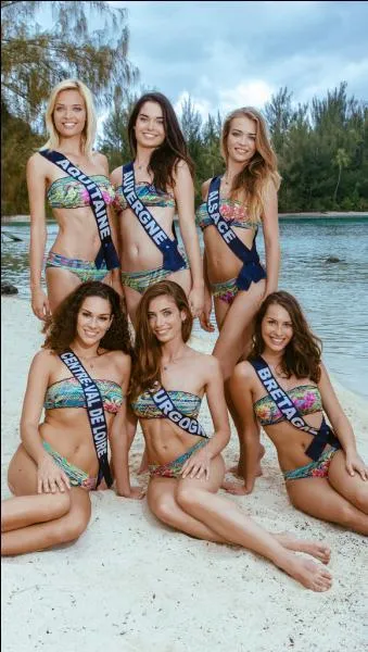 Qui a &eacute;t&eacute; &eacute;lue deuxi&egrave;me dauphine ?