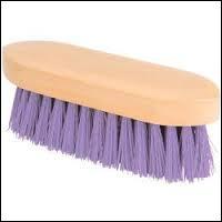 Quiz Brosses