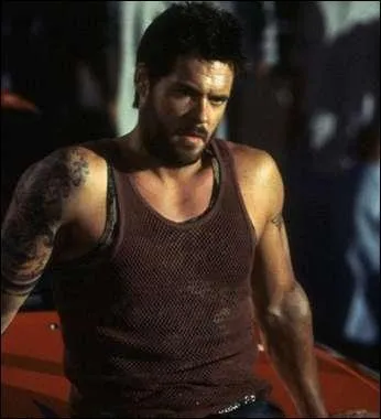 Sur l'image, c'est...