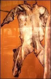 Comment se nomme l'artisan qui traite des peaux d'animaux afin d'obtenir et produire du cuir ?