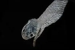 Outre le serpent, laquelle de ces espèces de reptiles subit fréquemment un renouvellement de peau, connue sous le terme de "mue" ?