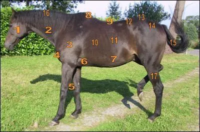 Quelle est la partie 5 ?