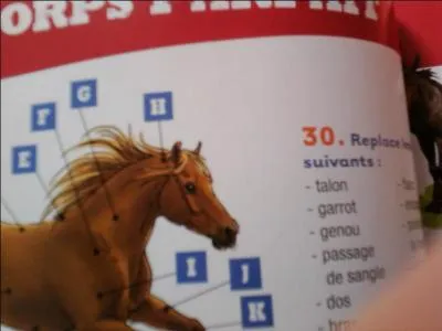 Quelle est la partie " H" ?