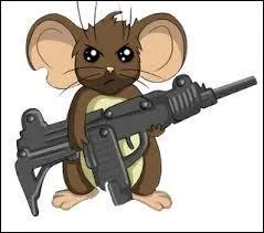 Comment s'appelle ce jeu ?