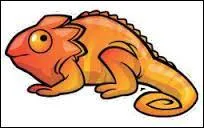 A qui appartient cet animal ?