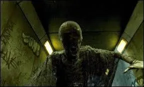 Comment s'appellent les gardiens d'Azkaban ?