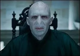 Qui doit tuer Voldemort ?