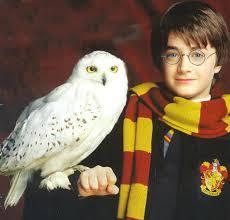 Quiz Harry potter