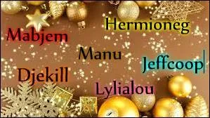 Mabjem, Manu, Djekill, Hermioneg., Lylialou et Jeffcoop se demandaient s'il était bien de prendre un père Noël pour la soirée. Ils déguisèrent Jeffcoop en père Noël. Lequel de ces accessoires n'a donc pas servi ?